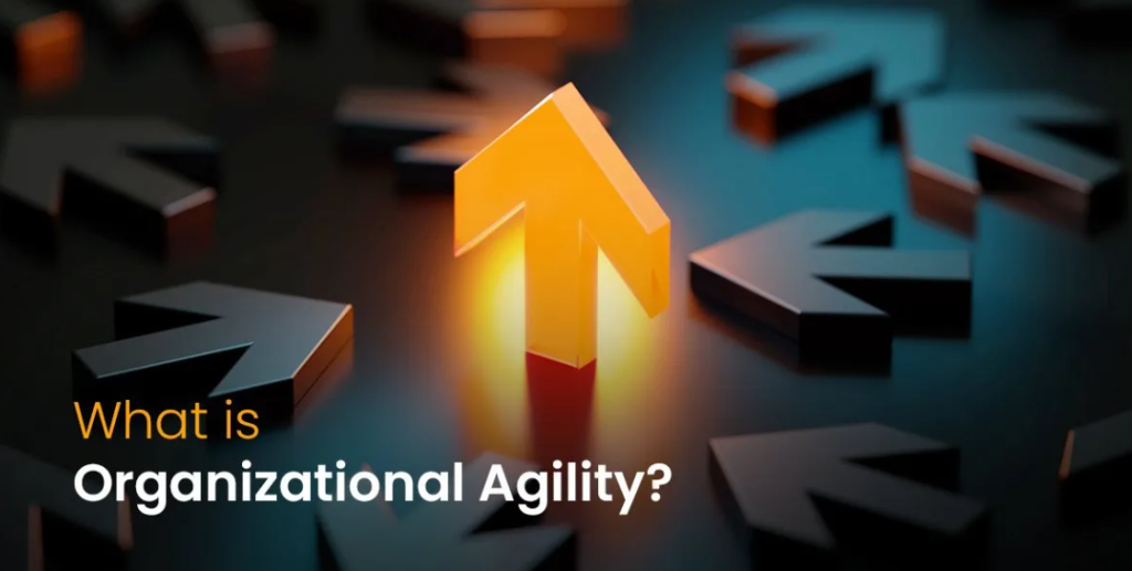 Org Agility